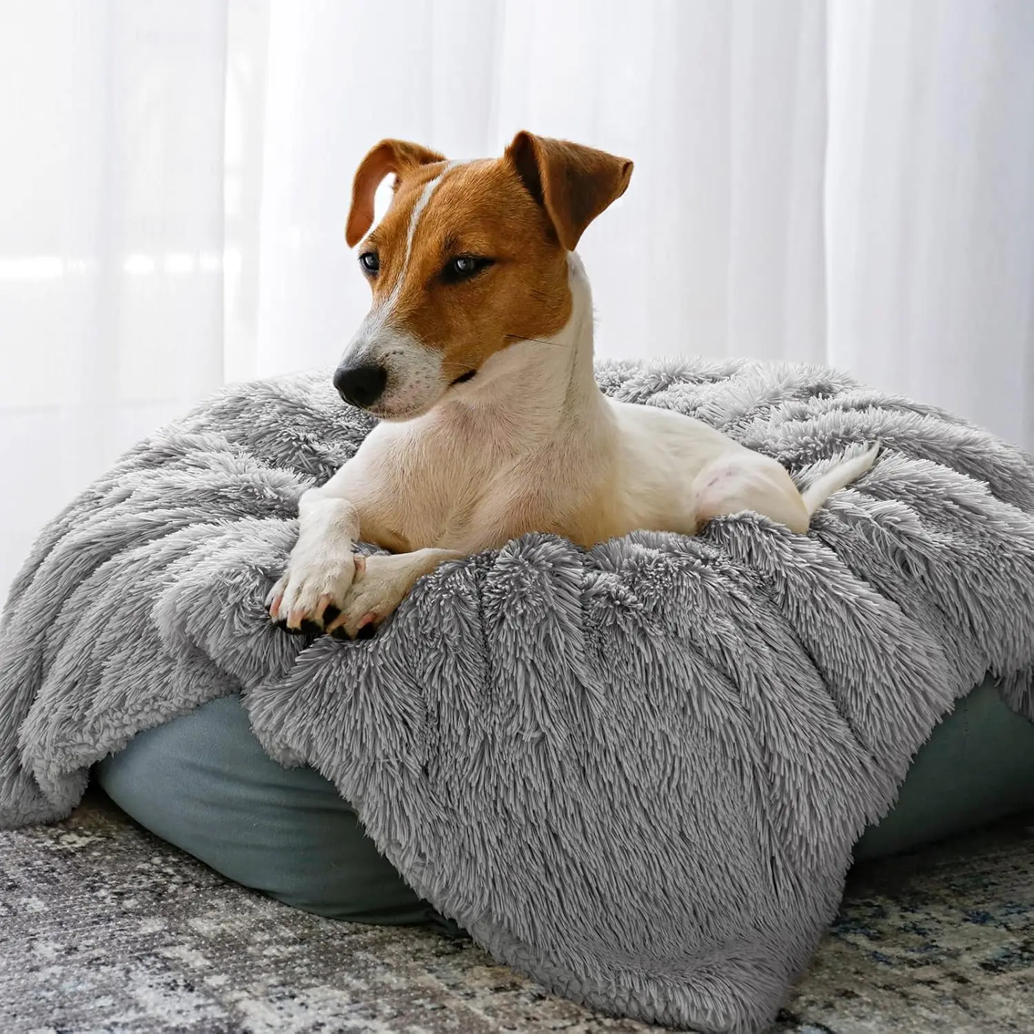 Dog Blanket Soft and Skin Friendly, Warm in Winter, Multi-Color Dog Bed, Pet Supplies 1005012508710906