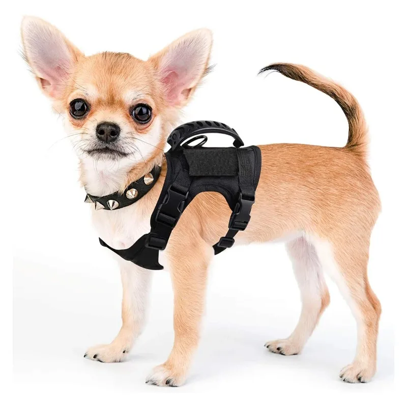 Tactical Small Dog Harness for Puppy Cats Adjustable Kitten Vest Harnesses for Military Dogs 1005012509850468