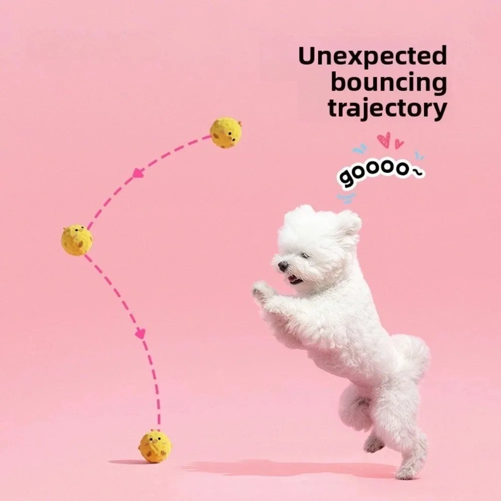 Dog Cartoon Squeaky Ball Toy for Pets 1005012514490091