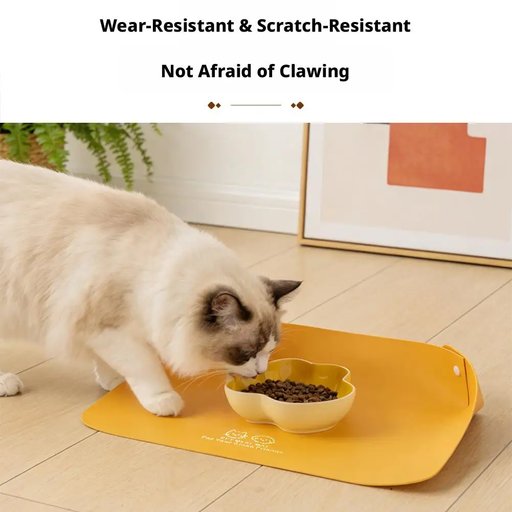 View 4
