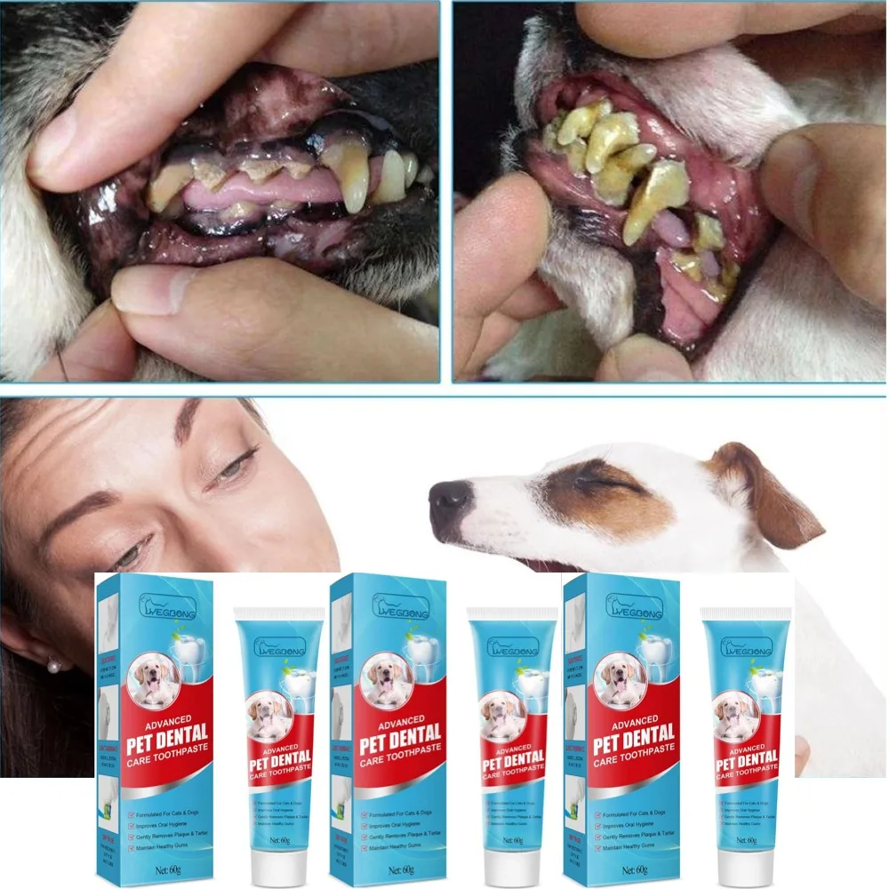 Advanced Pet Remove Plaque Tartar Maintain Healthy Gum Pet Oral Care Cats Dogs Improve Oral (60g) 1005012521008683