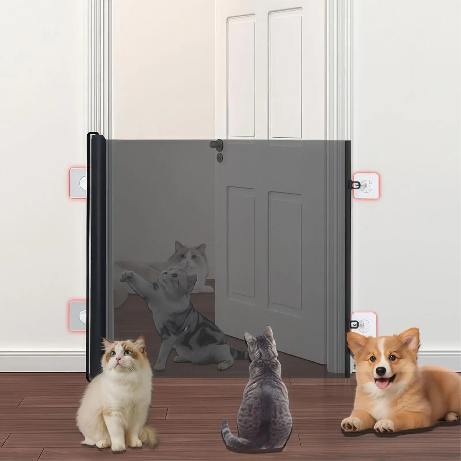 View 3