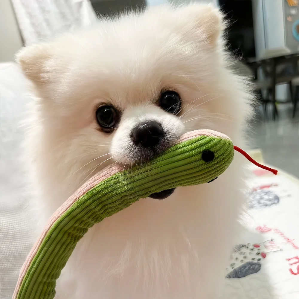 View 3
