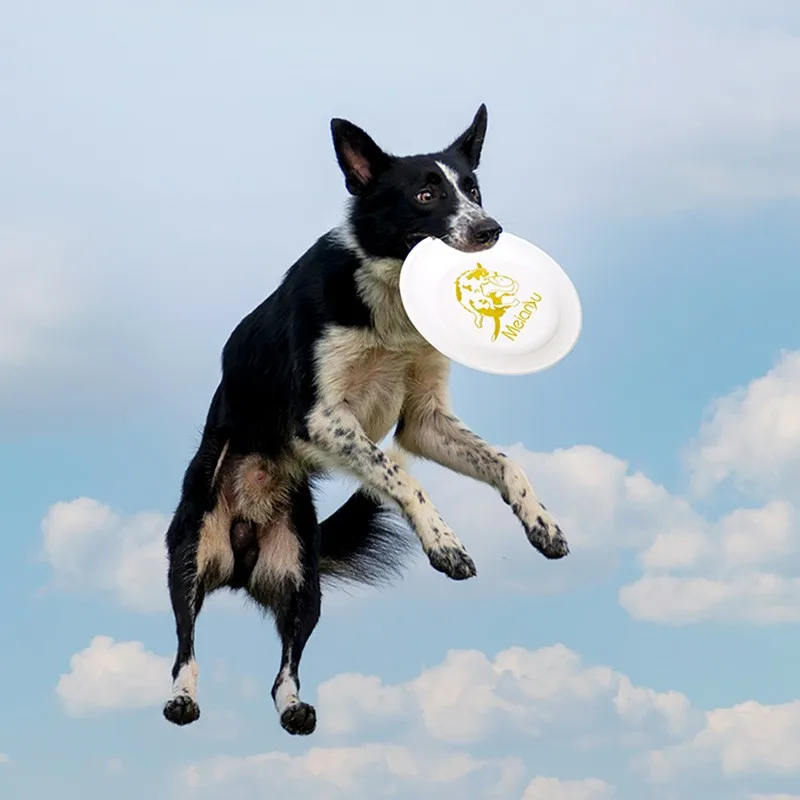 Meianju Competition Standard Frisbee 235 Frisbee Dog Training Disc Pe Professional Competition Disc 1005012539058279