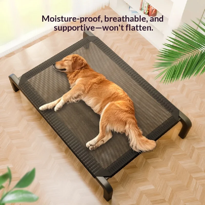 Elevated Dog Bed Raised Breathable Moisture Proof All Seasons Soft Ventilated Pet Sleeping Cot 1005012540917116