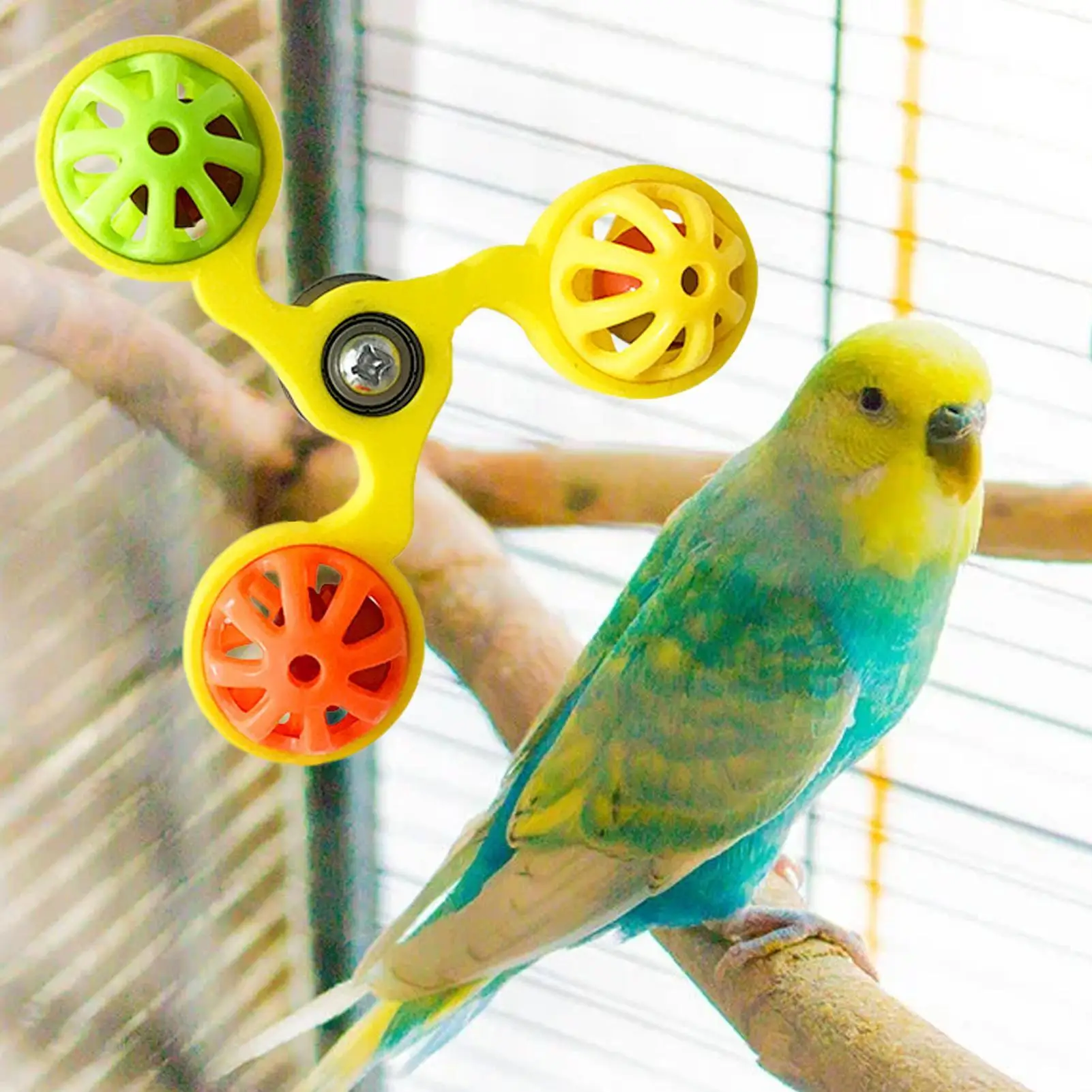 View 5