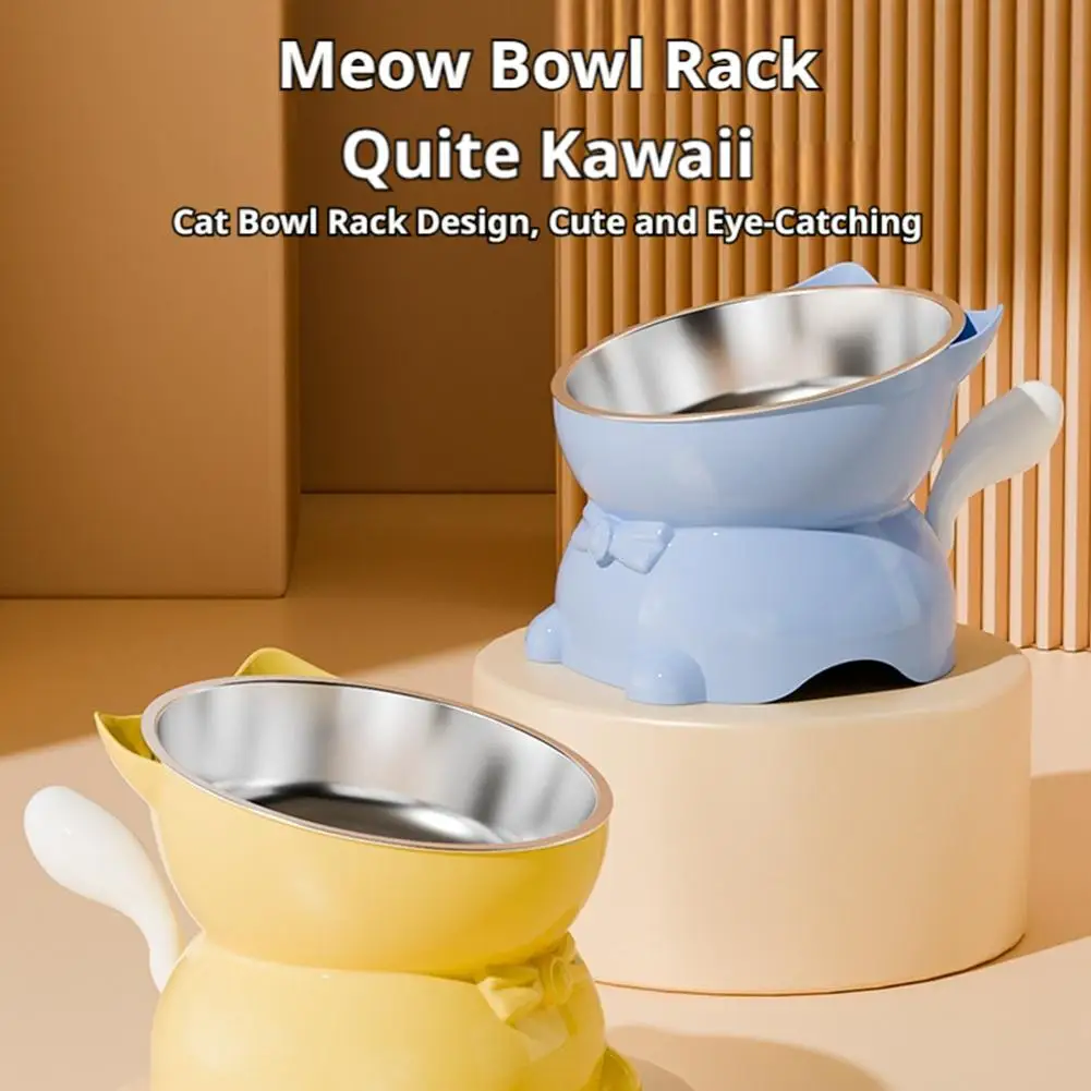 Stainless Steel Cat Bowl Anti-Spill Slanted Cat Food Food Water Dish for Cats Kitten Stainless 1005012542191644