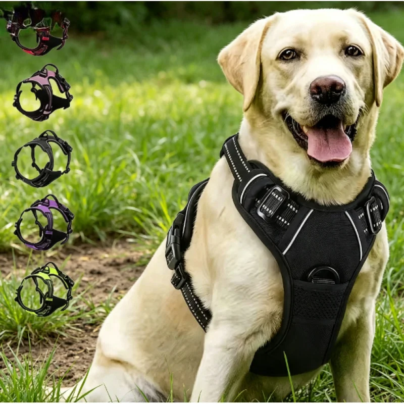 Dog Collar Harness Leash Set 1005012548025614