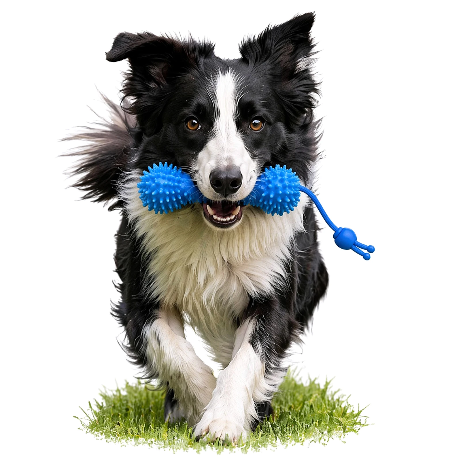 Dual-Action Canine Dental Prop with Adjustable Rope Dog Dental Chews Toy Pet Toothbrushing Chew Toy 1005012550018684