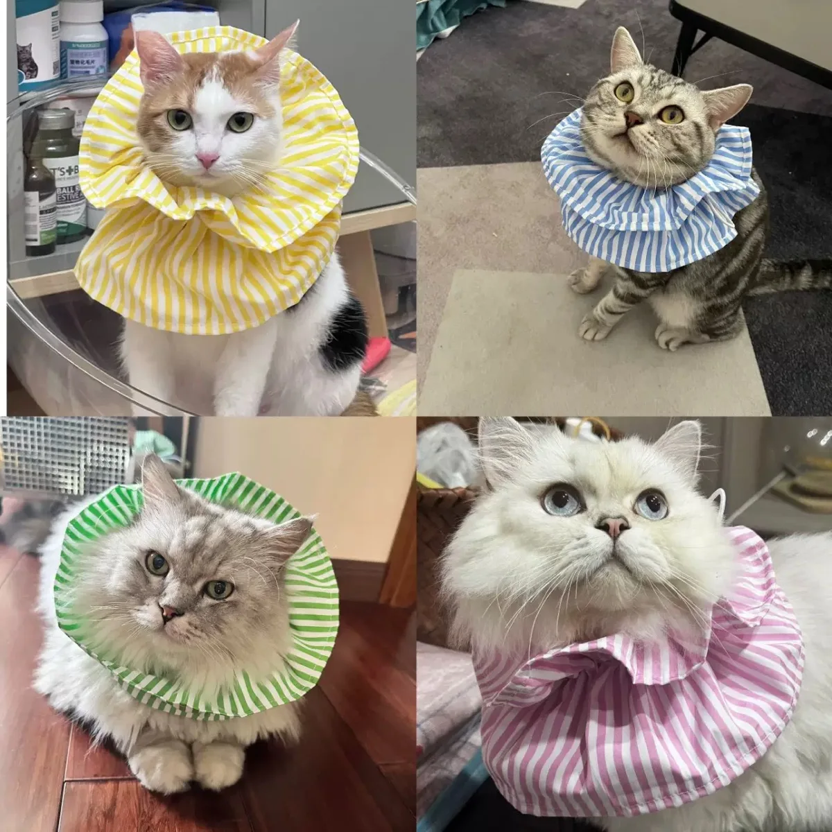 Adjustable Soft Elisa Collar Cat Neck, Deworming, Anti-Licking and Anti-Biting 1005012552002729