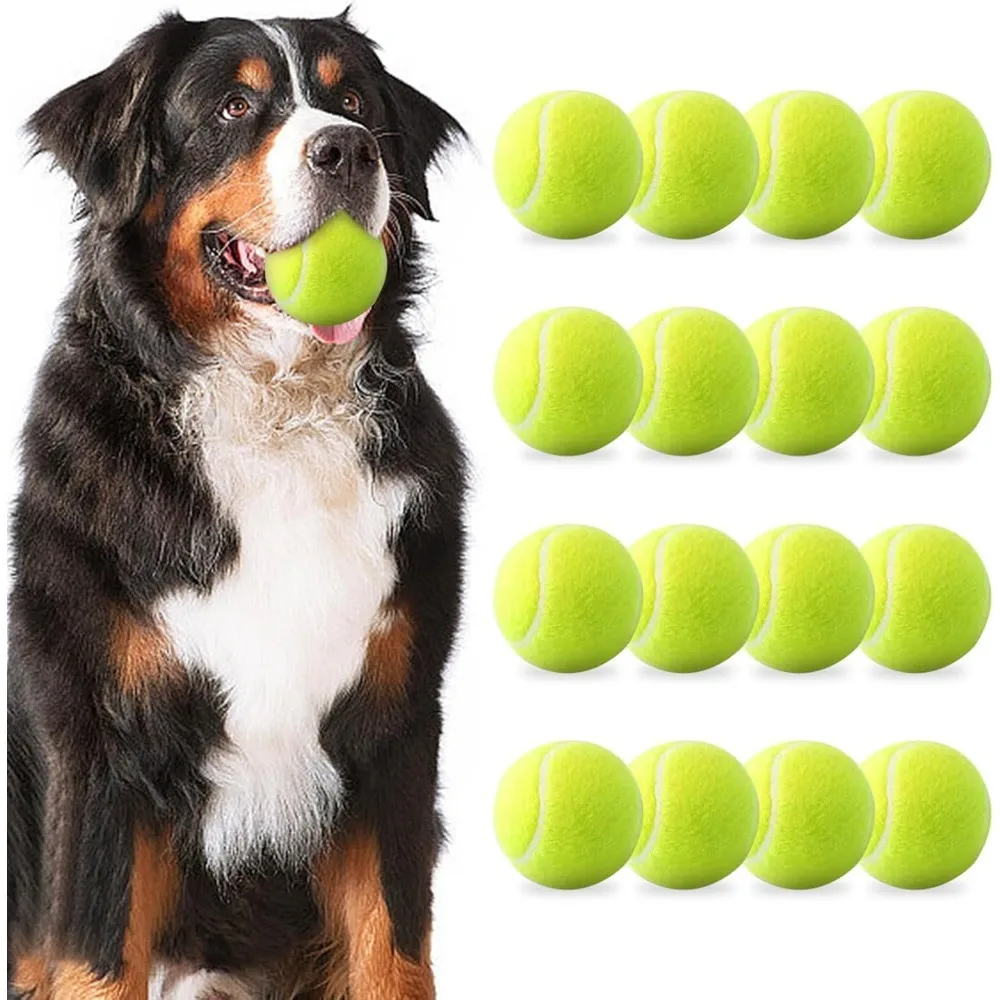 BB Tennis Balls for Dogs, 2-Inch Size 1005012552866152