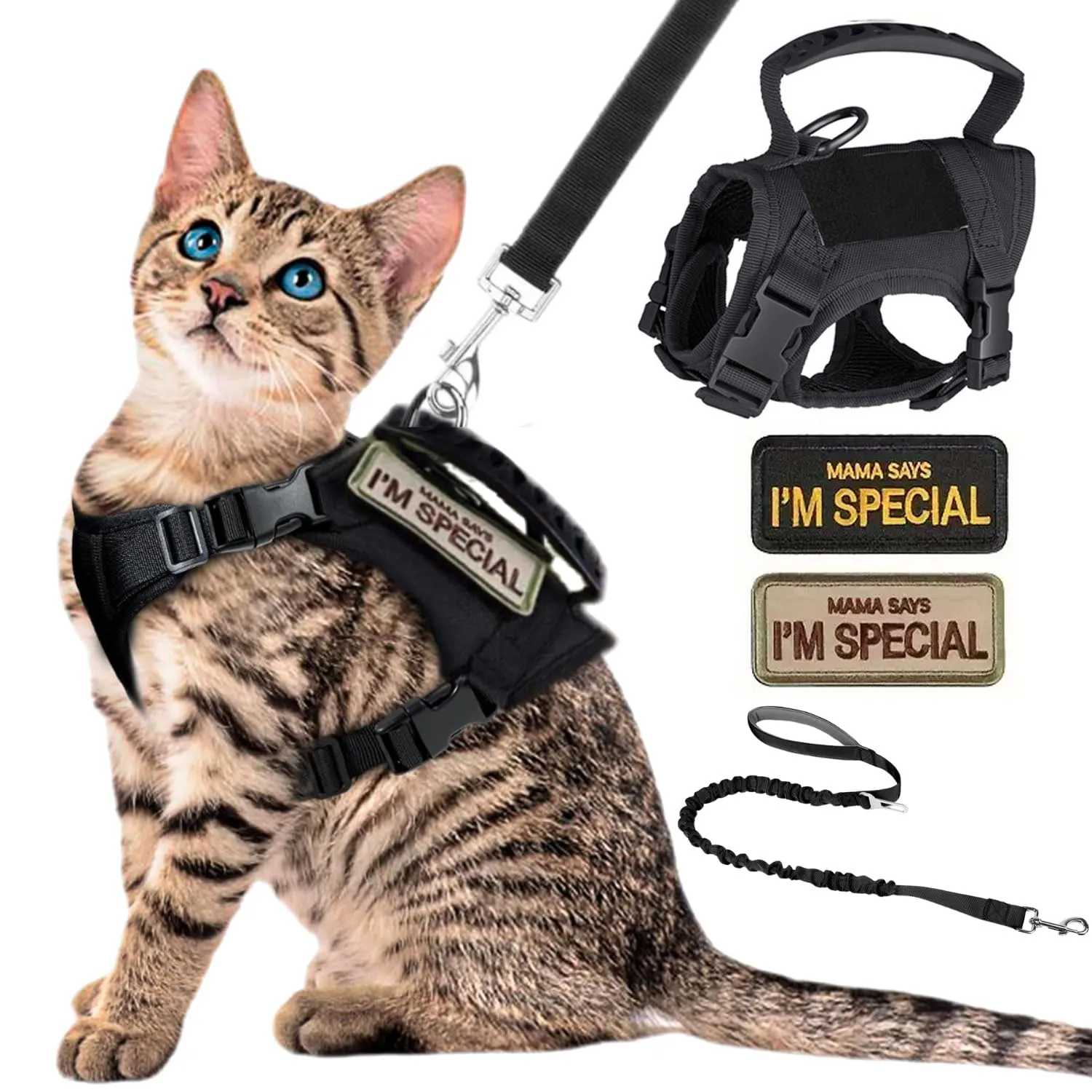 600D Cat Tactical Vest Pet Chest Strap Vest Type Puppy Cat Training Clothing Leash with Two 1005012556866259