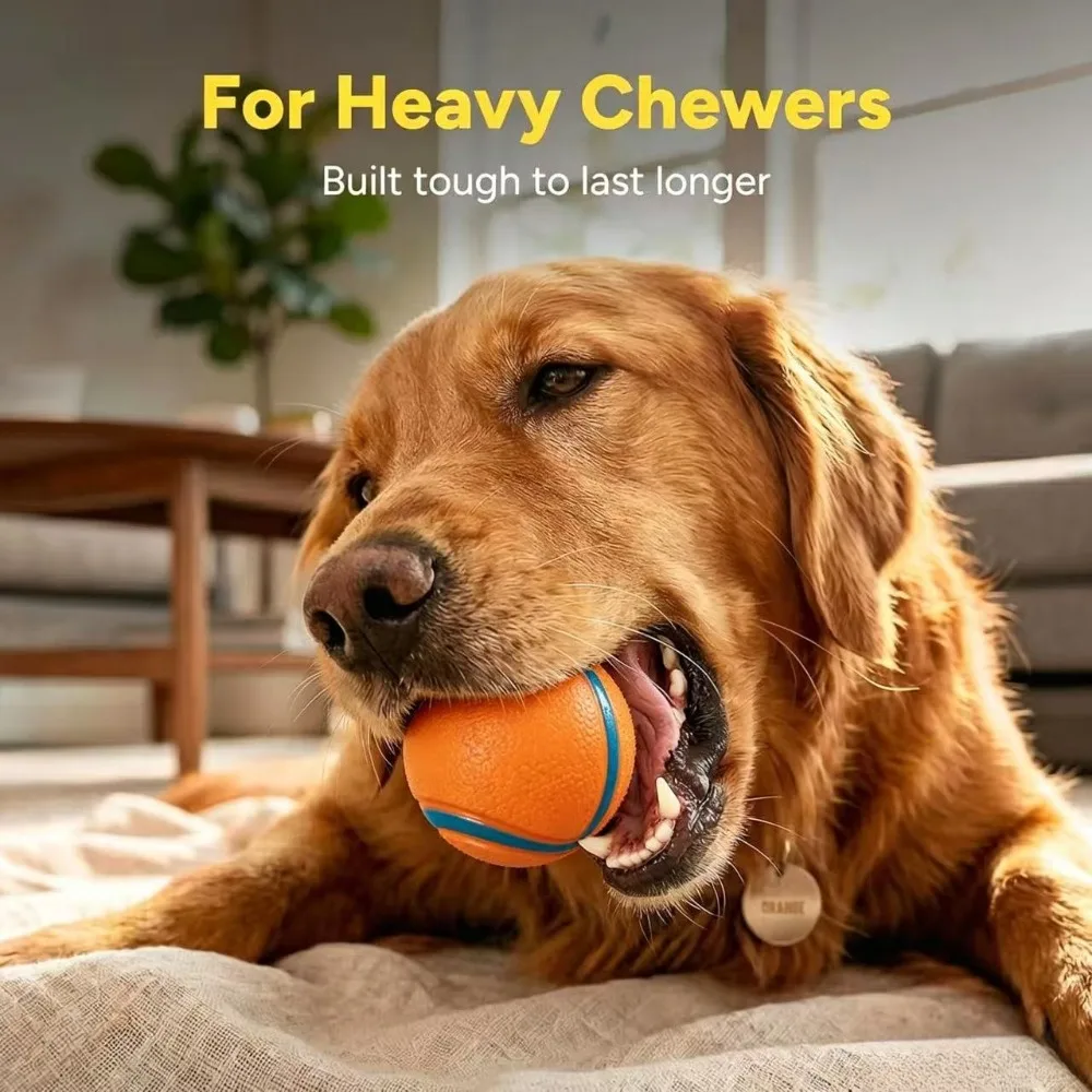 Dog Toy Ball Dog Fetch Ball Toy Tough Pet Ball Puppy Chew Toy Solid Elastic Jumping Ball Pet 1005012560276560