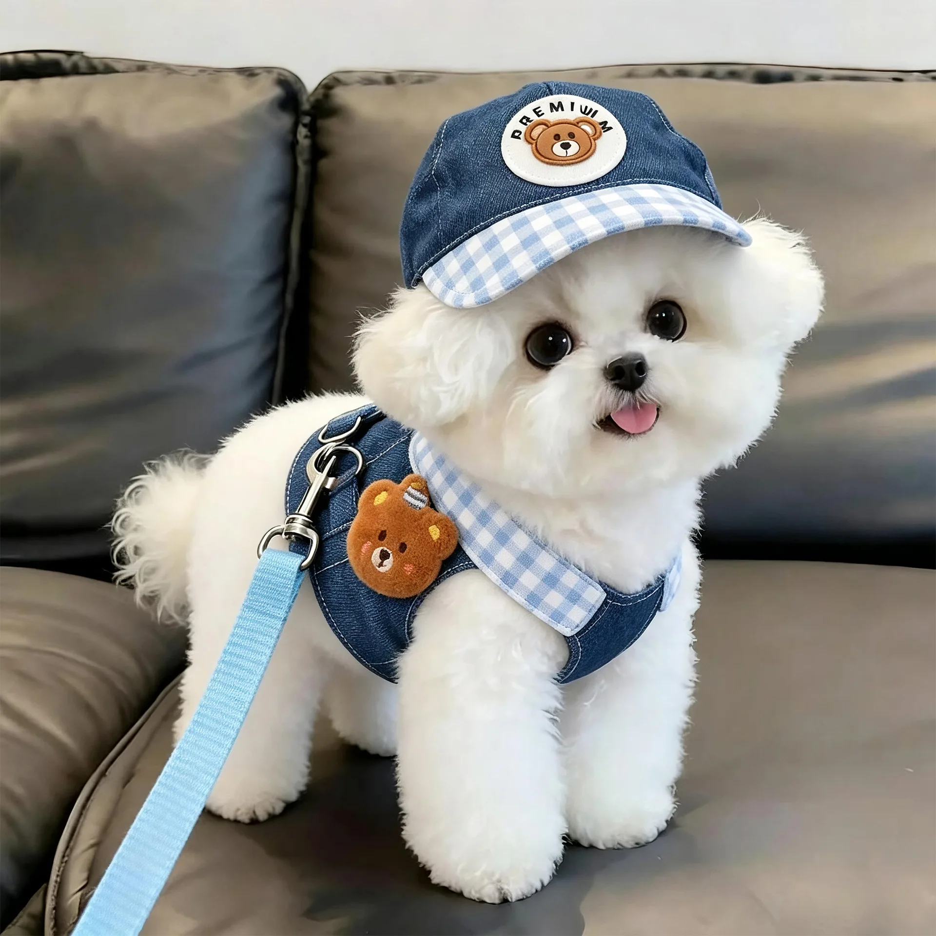 Dog Clothes 2026 New Dog Harness and Leash Set Denim Pet Vest with Sun Hat for Small Dogs Cats Puppy 1005012567476280