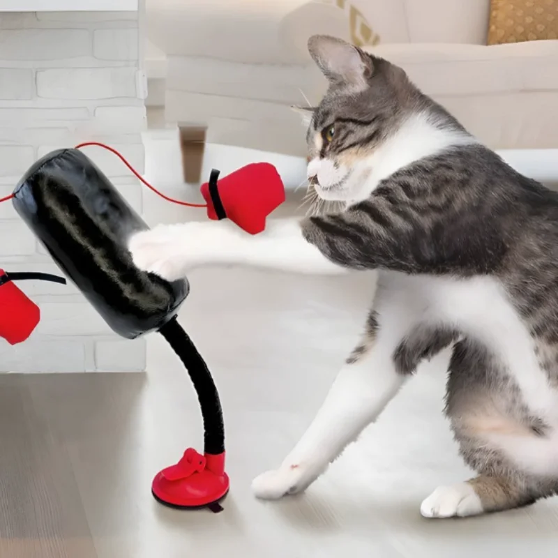 Cat Boxing Plaything Interactive Punching Bag Cat Toy Suction Cup Interactive Pet Plaything 1005012599891024