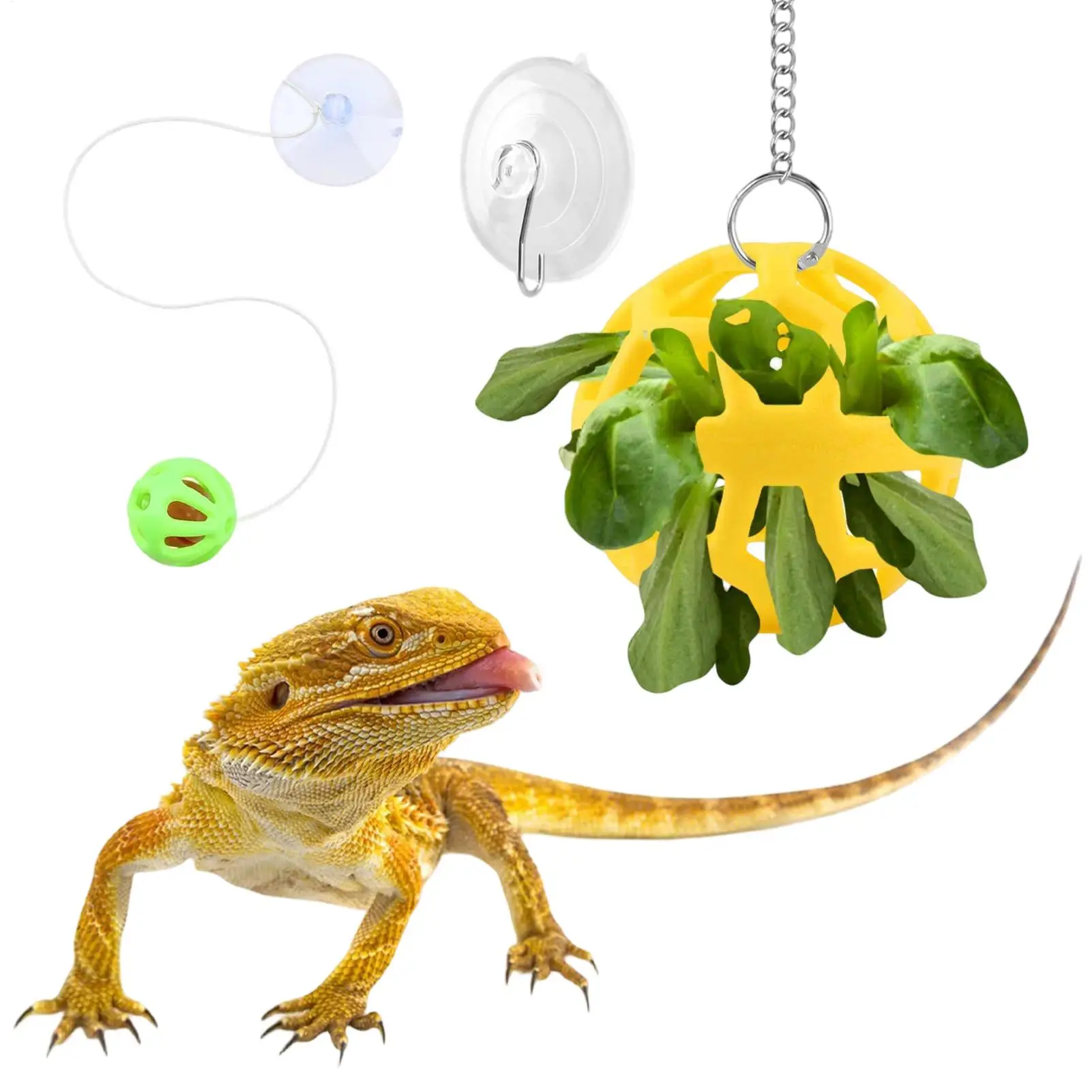 Bearded Dragon Interactive Feed Ball with Suction Cup Gecko Bell Ball Leopard Gecko Feeder Toy 1005012619730505