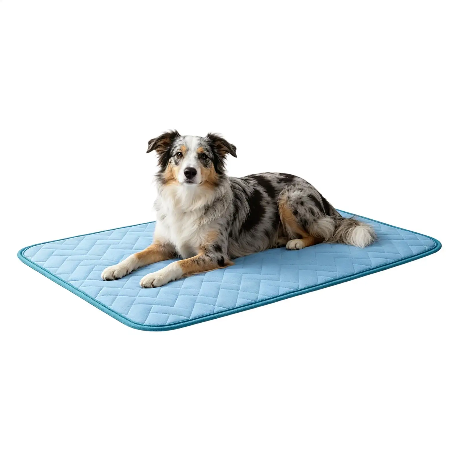 Dog Cooling Mat Summer Pet Cold Bed Extra Large For Small Big Dogs Pet Accessories Cat Durable 1005012629676164