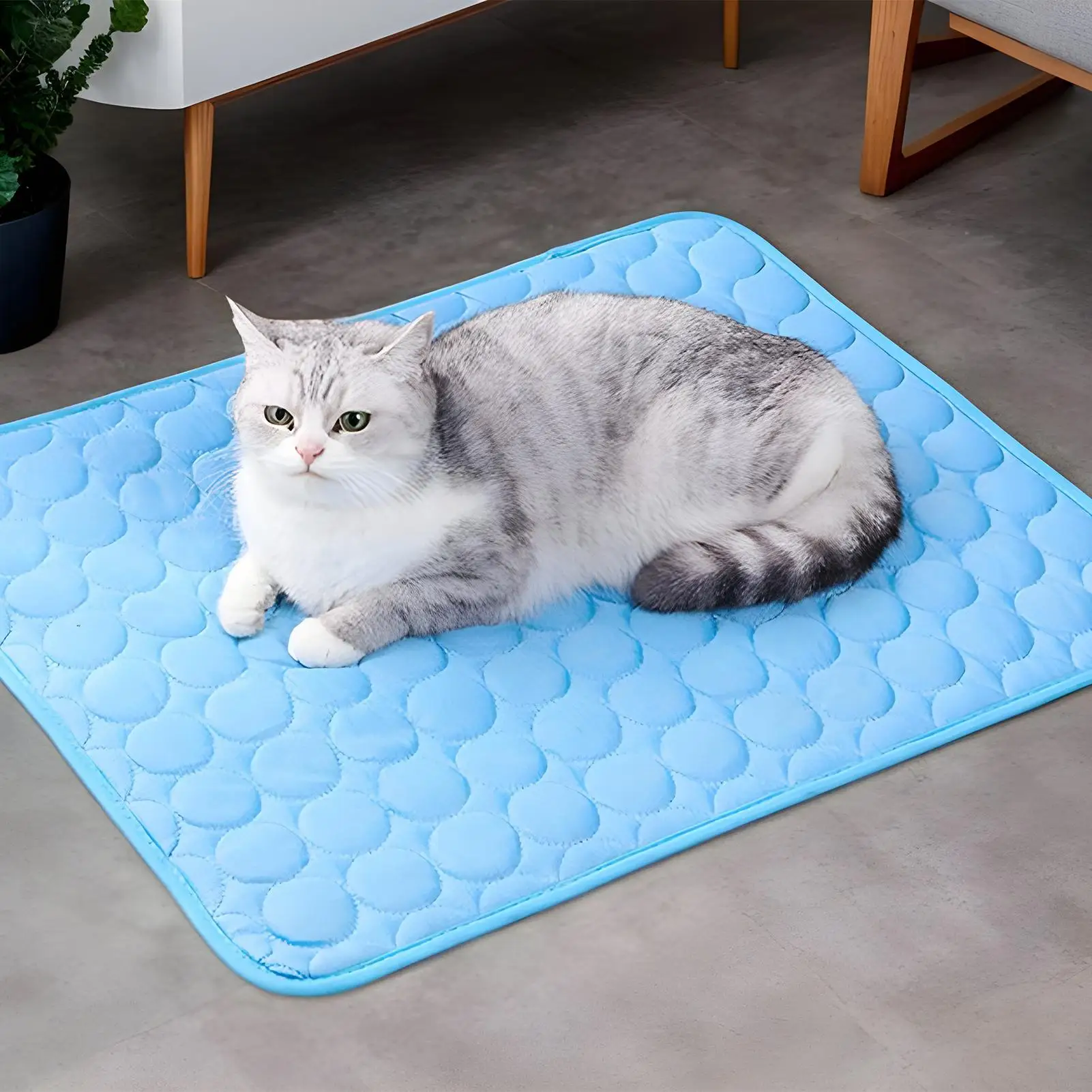 Dog Cooling Mat Ice-Silk Mat Indoor Pet Breathable Washable Pet Cooling Pad for Sofa Floor Kennel 1005012645739337