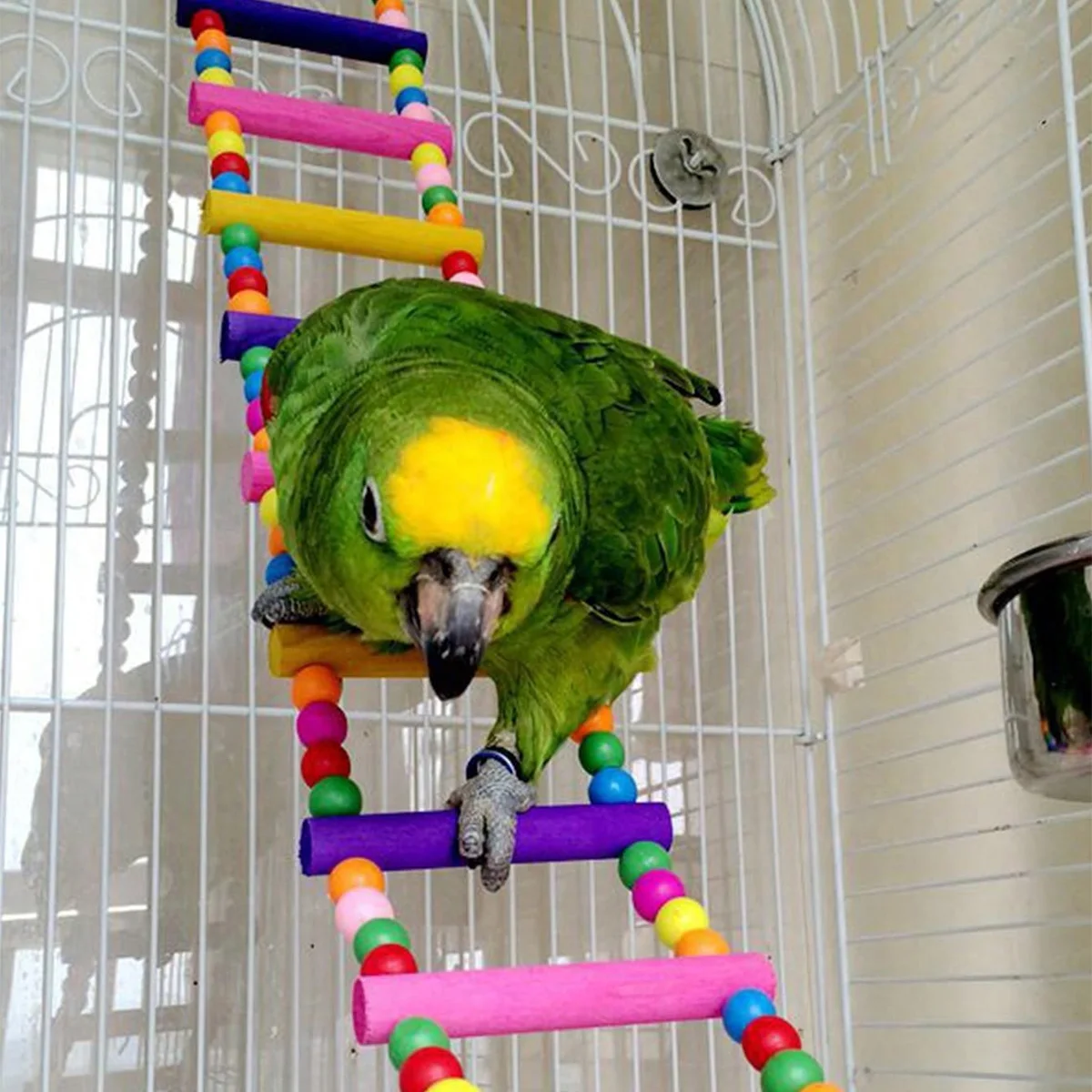 Of Randomly Colored Hand-Dyed Colorful Bead-Decorated Ladder Design Parrot Toy (1 Piece) 1005012677182894