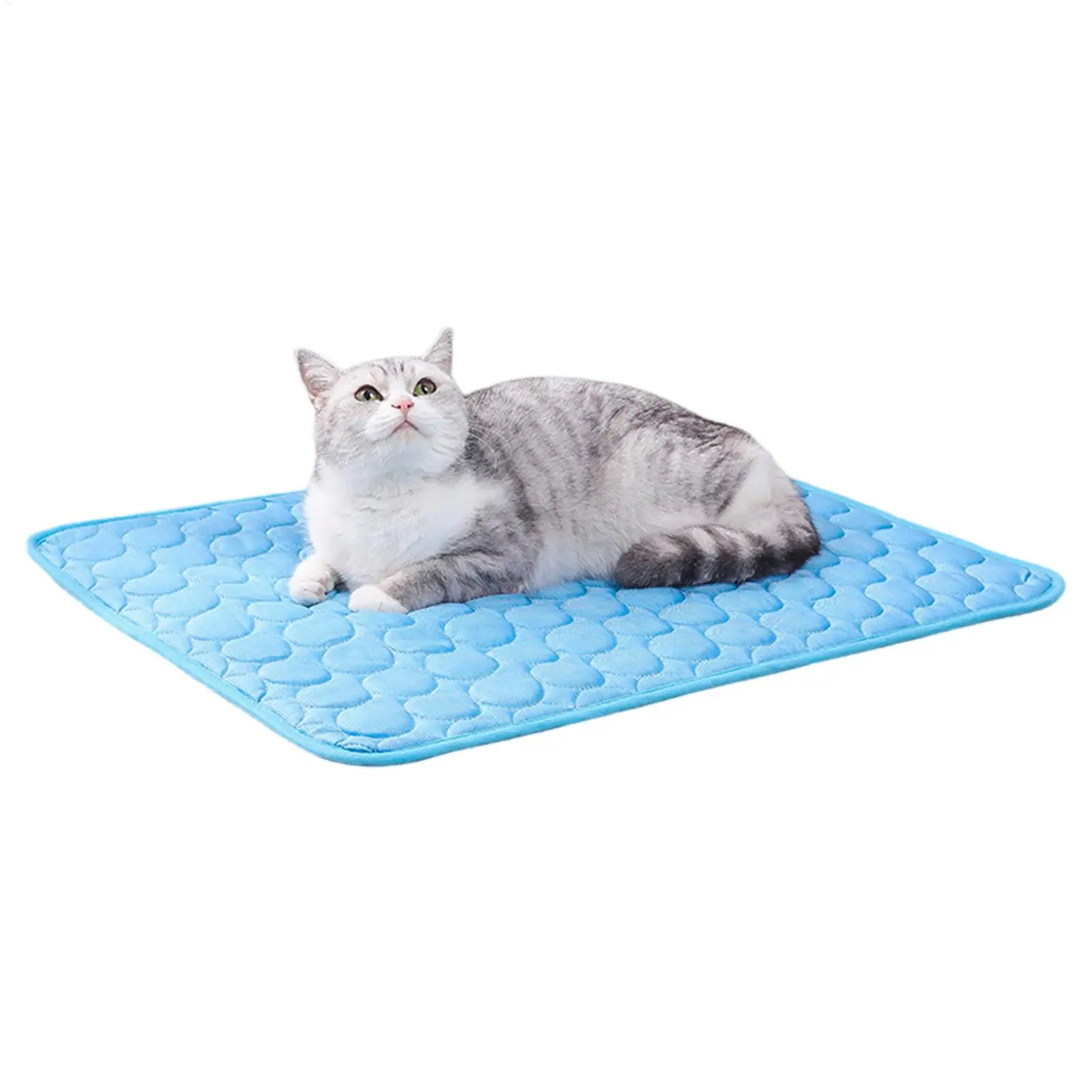 Dog Mat Cooling Summer Pad Mat for Dogs Cat Blanket Sofa Breathable Cat Dog Bed Summer Washable 1005012705134463