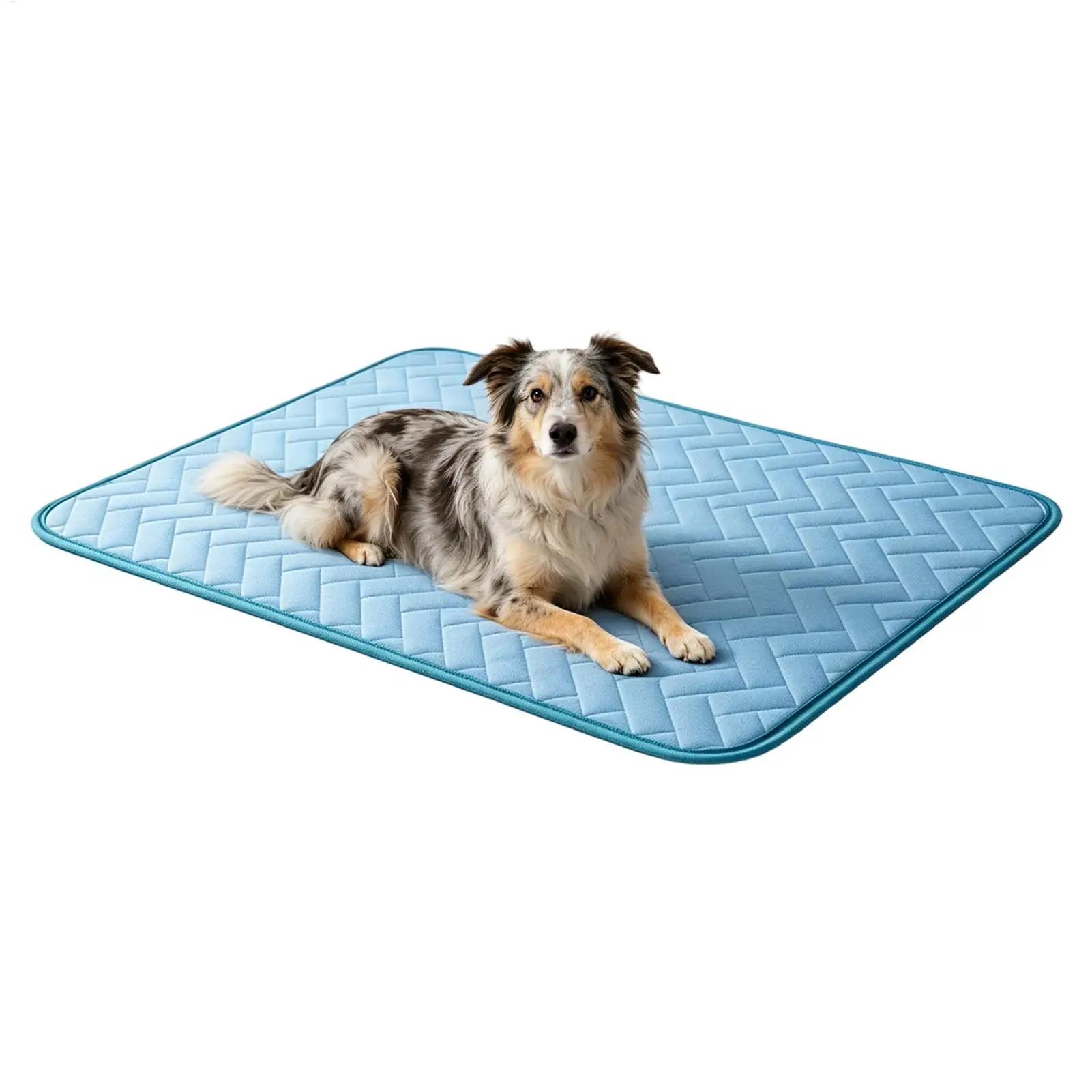 Dog Cooling Mat Summer Pet Cold Bed Pet Kennel Ice Silk Pad Kitten Summer Ice Silk Mat for Outdoor 1005012730632205
