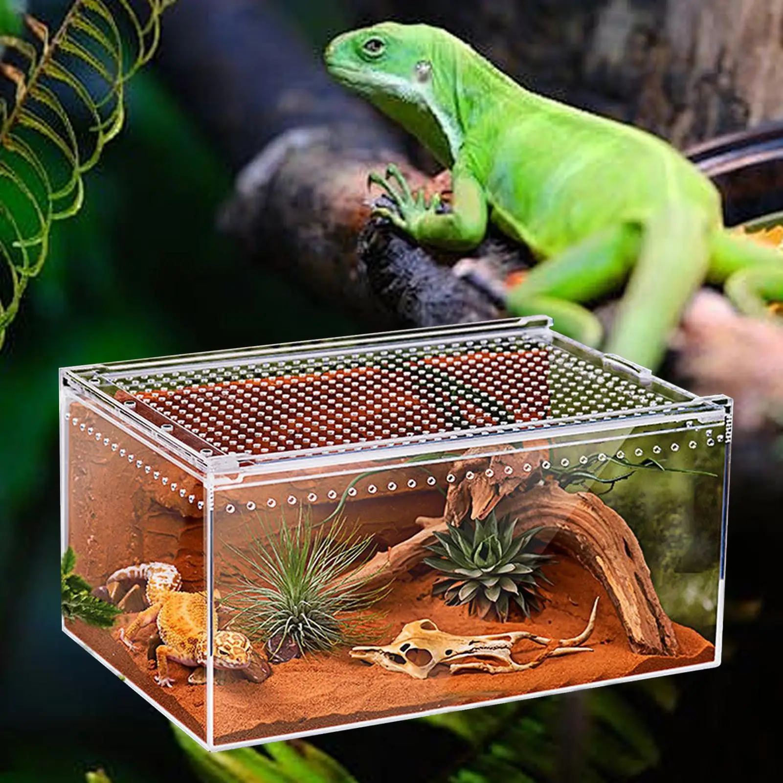 Spider Enclosure Transparent Reptile Terrarium Tank Habitat with Ventilation for Tarantula Gecko 1005012735427629