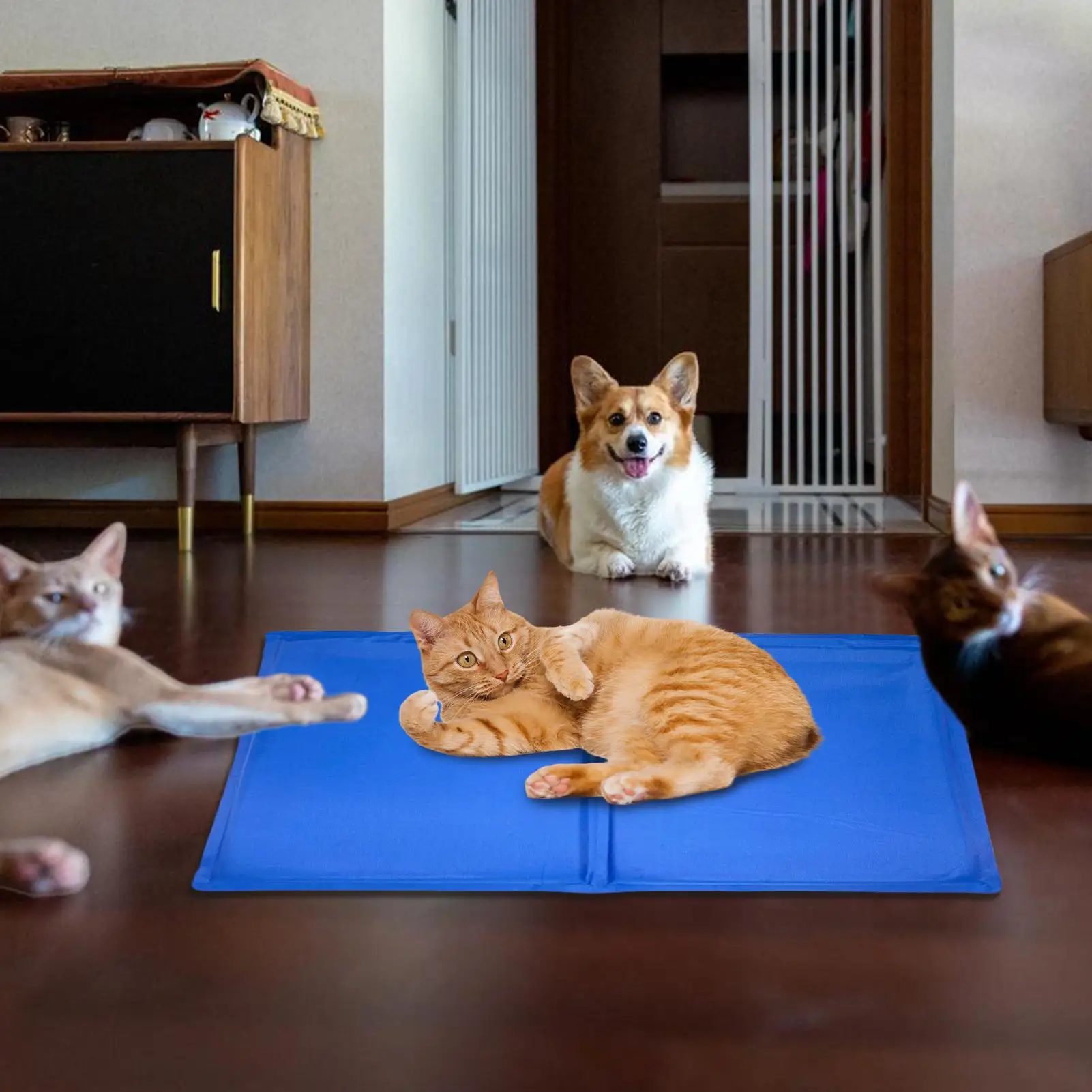 Cooling Mat for Dogs Self Cooling Ice Pad Portable Cats Sleeping Resting Gel Mat for Summer 1005012752897748