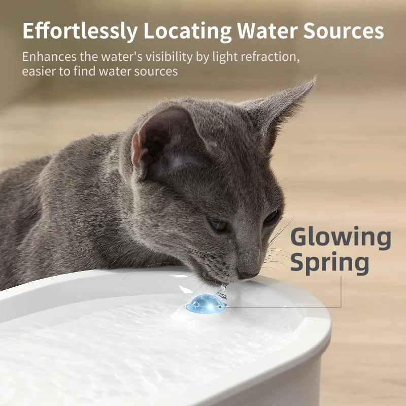 View 5