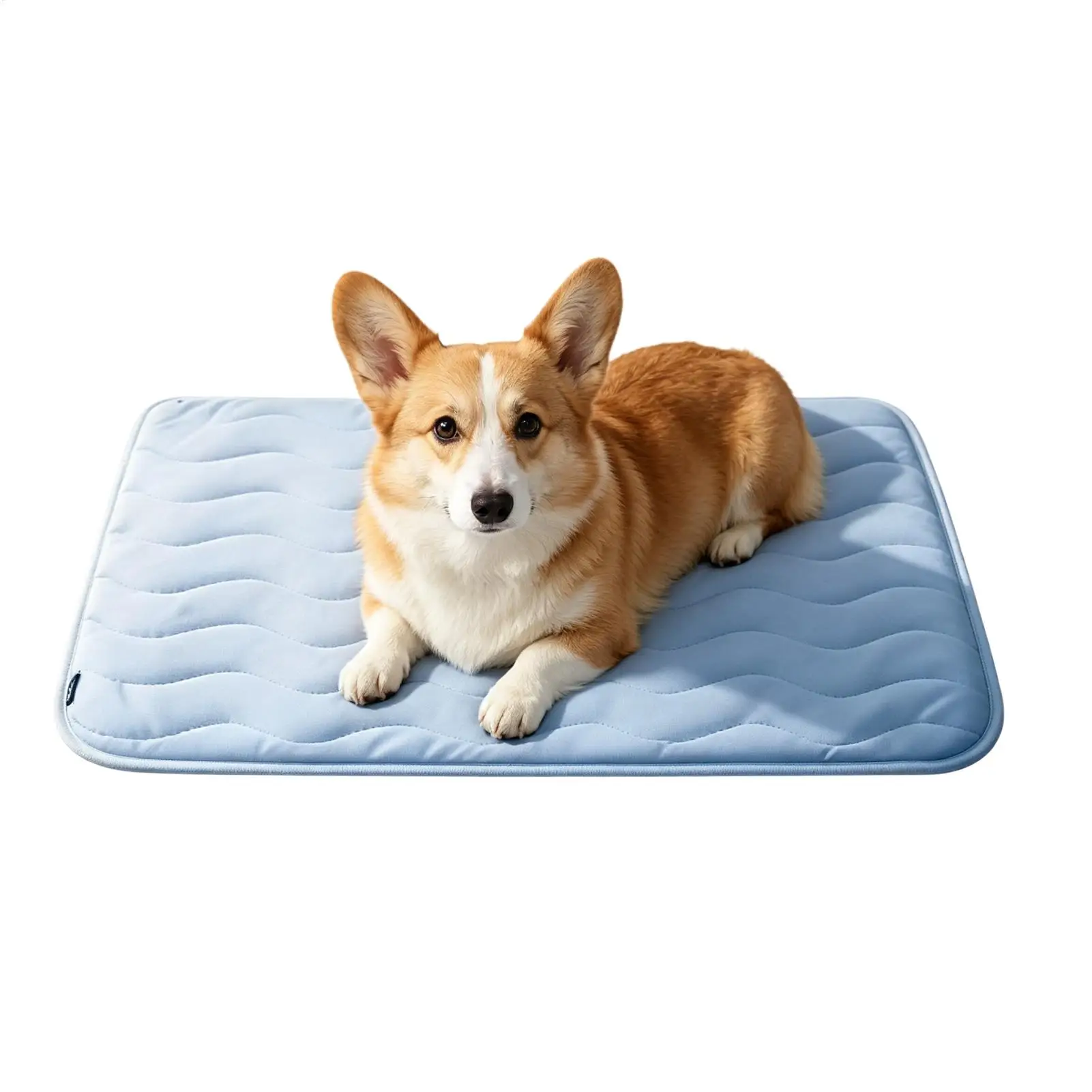 Cooling Mat for Dogs Breathable Washable Non-Slip Cat Puppy Sleeping Summer Outdoor Indoor Car 1005012837018631