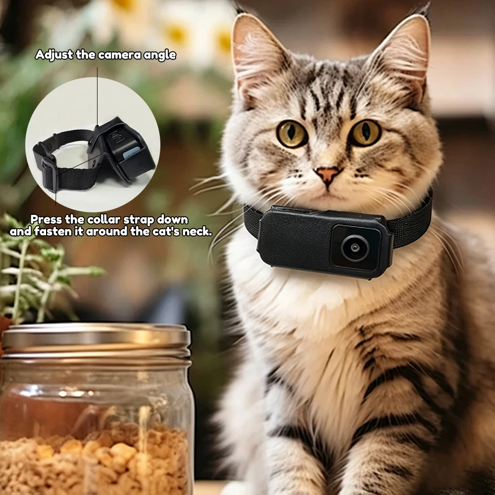 1080P HD Video Recording Pet Collar Camera Wearable for Dogs Cats First Perspective Portable POV Cam 1005012862665825