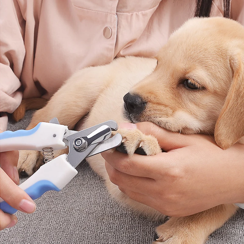 Pet Nail Clipper Scissors Pet Dog Cat Nail Toe Claw Clippers Scissors Trimmer Grooming Tools 33001590008