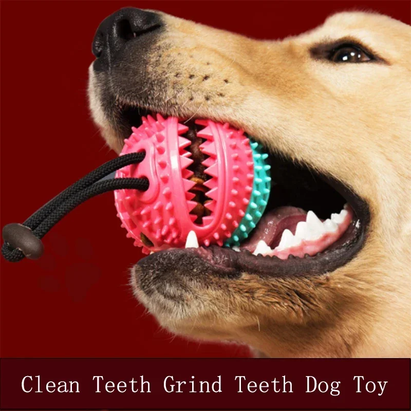 Pet Dog Toys Food Ball Food Dispenser for Dogs Stretch Rubber Leaking Ball Interactive Chew Toys 4001063885694