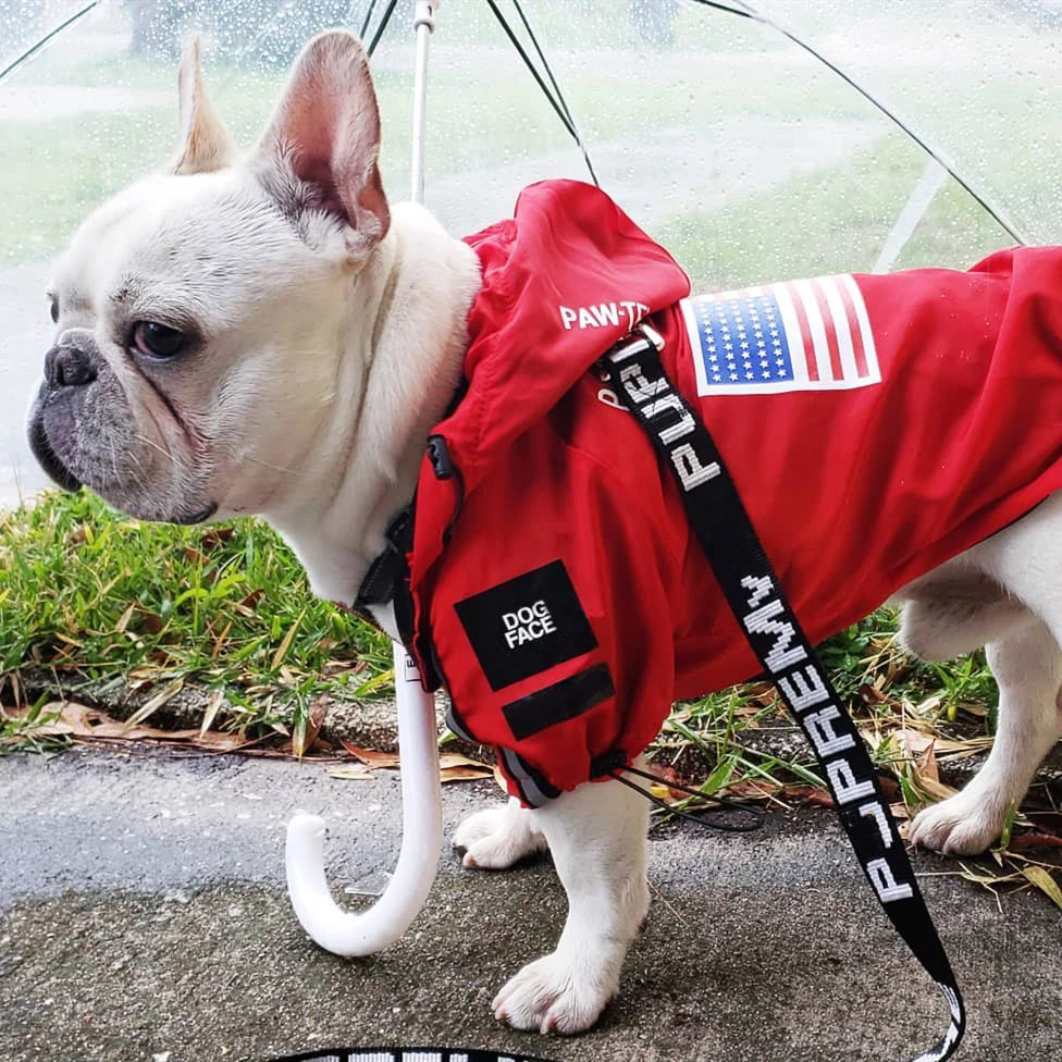 Dogface Pet Clothes Fashion Dog Raincoat Windproof Waterproof Dog Jacket Windbreaker French Bulldog 4001162664368