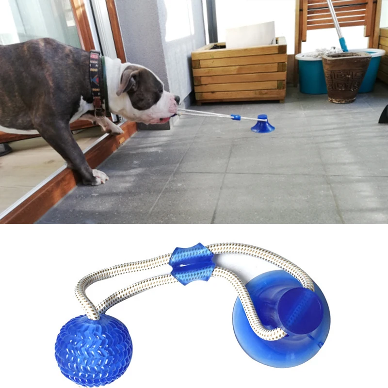 Dog Toys Pet Puppy Interactive Suction Cup Push TPR Ball Toys Molar Bite Toy Elastic Ropes Dog 4001263006164